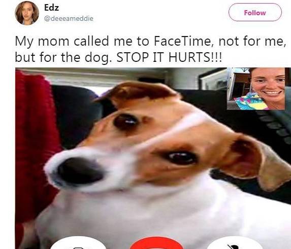 卡斯罗犬vs视频直播，我边看边记的那些真实心得