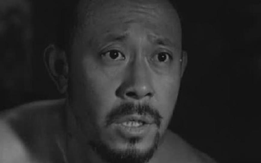 日本作家视角，日政府对侵略历史态度之谜