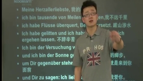 德文vs青海高手视频直播，一场跨越语言与文化的格斗狂欢