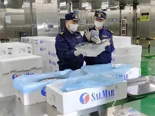 挪威国家队紧急从本土订购大批海鲜，一场味觉与激情的双重盛宴