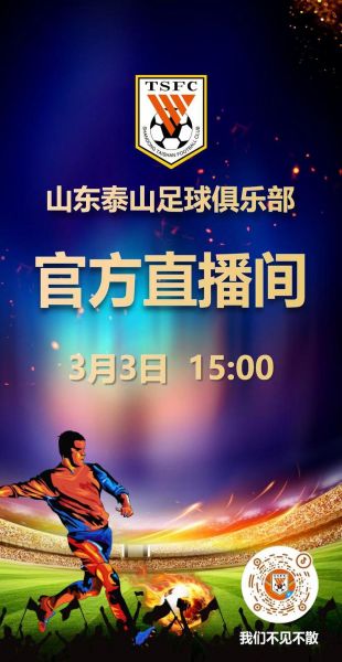 山东vs富力视频直播，一场不只是胜负的较量