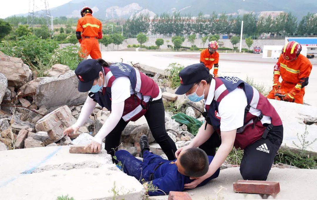 村民遭遇蛇患，养蛇场逃逸事件引发的紧急救援