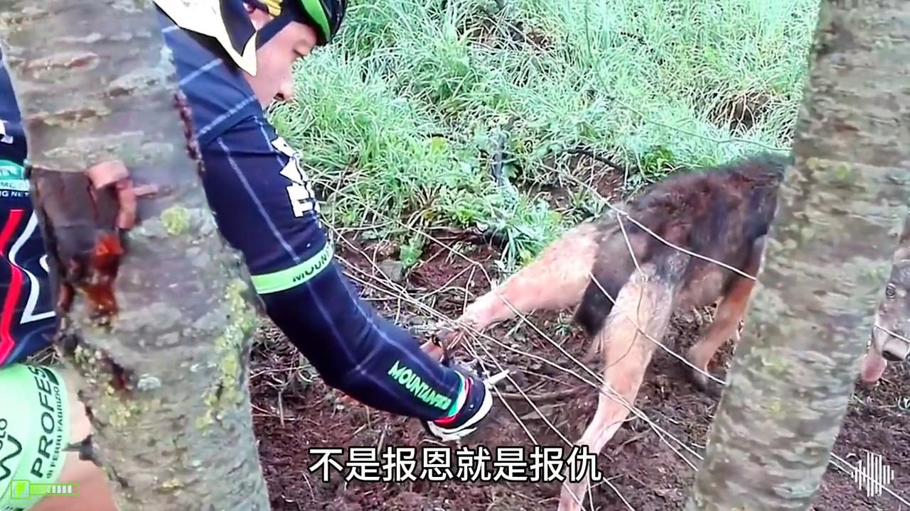 救命药价格飞涨，从24元到600元，患者的无助与希望