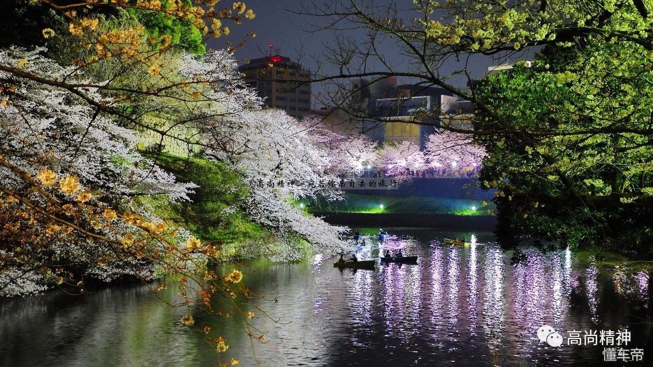 东京VS樱花，一场足球赛直播视频背后的热血与浪漫