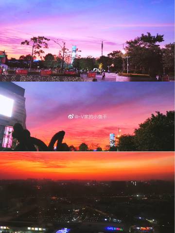 深圳vs惠州风景视频直播，我用Golang写了个对比工具，结果发现…