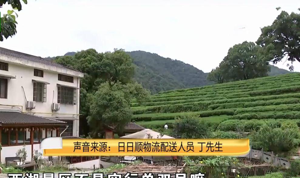 浙江vs江苏排球直播视频，我蹲了三天终于看懂了这场神仙打架